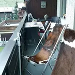 Hausroc-zermatt *